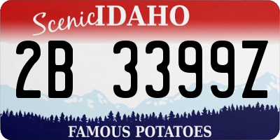 ID license plate 2B3399Z