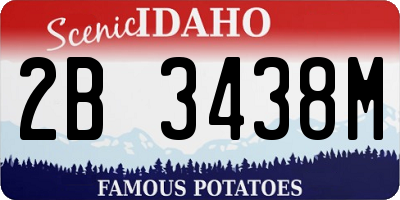 ID license plate 2B3438M