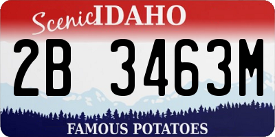 ID license plate 2B3463M