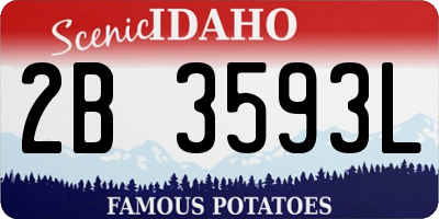 ID license plate 2B3593L