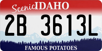 ID license plate 2B3613L