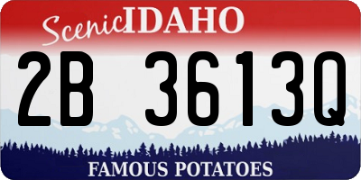 ID license plate 2B3613Q