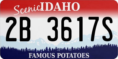 ID license plate 2B3617S