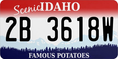 ID license plate 2B3618W
