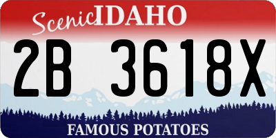 ID license plate 2B3618X