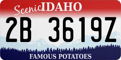 ID license plate 2B3619Z