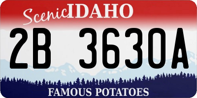 ID license plate 2B3630A