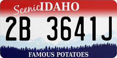 ID license plate 2B3641J