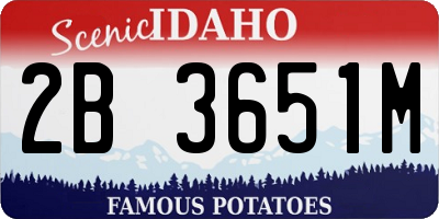 ID license plate 2B3651M