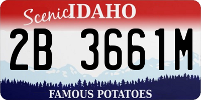 ID license plate 2B3661M