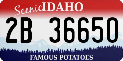 ID license plate 2B3665O