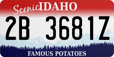 ID license plate 2B3681Z