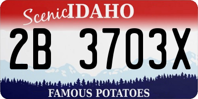 ID license plate 2B3703X