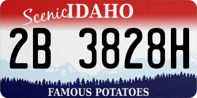 ID license plate 2B3828H