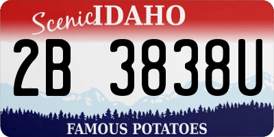 ID license plate 2B3838U