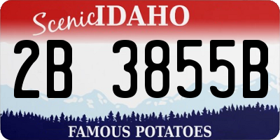 ID license plate 2B3855B