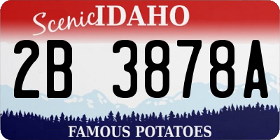 ID license plate 2B3878A