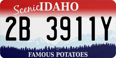 ID license plate 2B3911Y