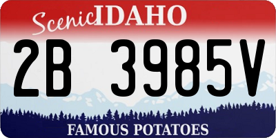 ID license plate 2B3985V