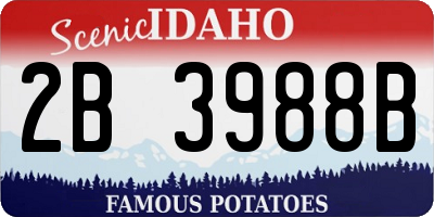 ID license plate 2B3988B