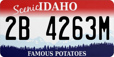 ID license plate 2B4263M