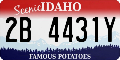 ID license plate 2B4431Y