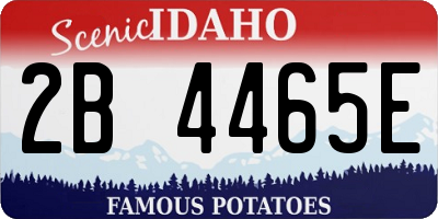 ID license plate 2B4465E