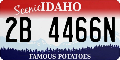 ID license plate 2B4466N
