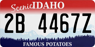 ID license plate 2B4467Z
