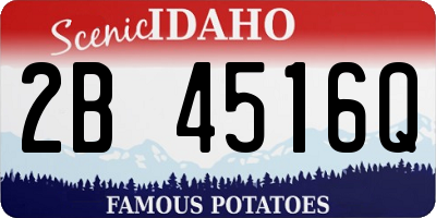 ID license plate 2B4516Q