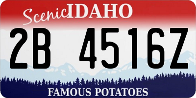 ID license plate 2B4516Z