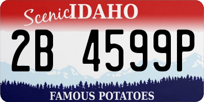 ID license plate 2B4599P