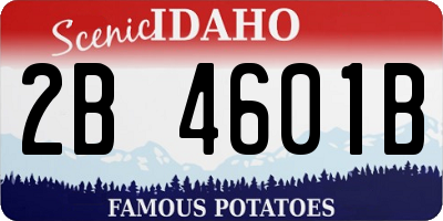 ID license plate 2B4601B