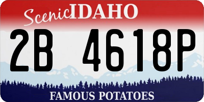 ID license plate 2B4618P