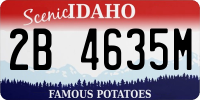 ID license plate 2B4635M