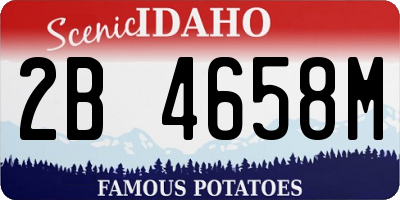 ID license plate 2B4658M