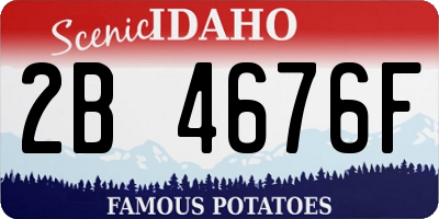 ID license plate 2B4676F