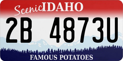 ID license plate 2B4873U