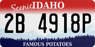 ID license plate 2B4918P
