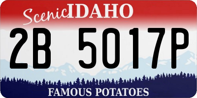 ID license plate 2B5017P