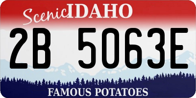 ID license plate 2B5063E