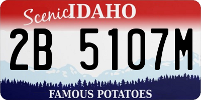 ID license plate 2B5107M