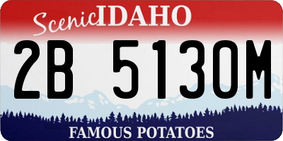 ID license plate 2B5130M