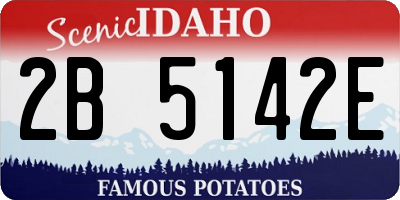 ID license plate 2B5142E