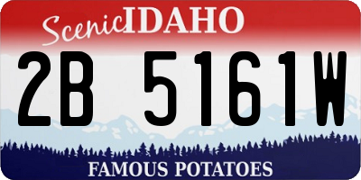 ID license plate 2B5161W