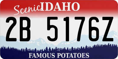 ID license plate 2B5176Z