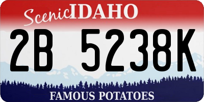ID license plate 2B5238K