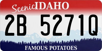 ID license plate 2B5271Q