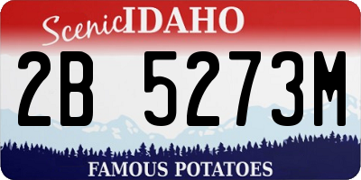 ID license plate 2B5273M