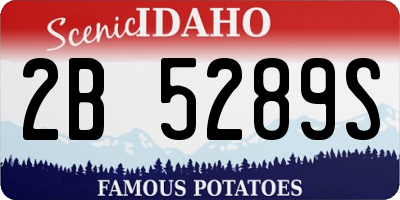 ID license plate 2B5289S